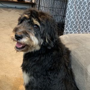 Meet your Posher, Carolyn